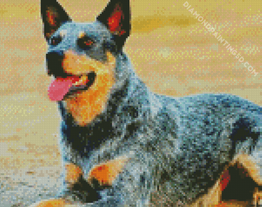 Aesthetic Blue Heeler Dog Diamond Paintings