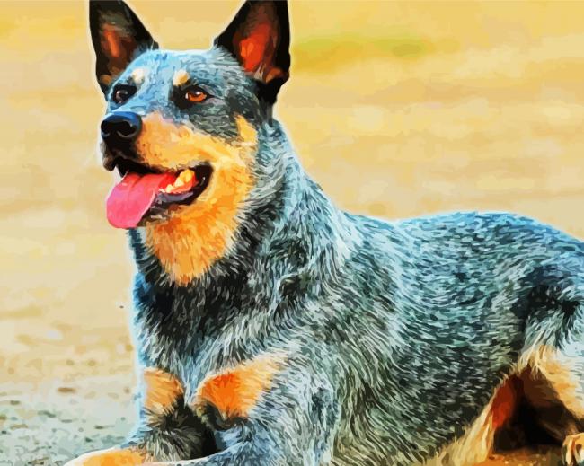 Aesthetic Blue Heeler Dog Diamond Paintings