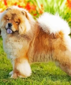 Aesthetic Chow Chow Diamond Paintings