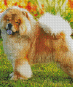 Aesthetic Chow Chow Diamond Paintings