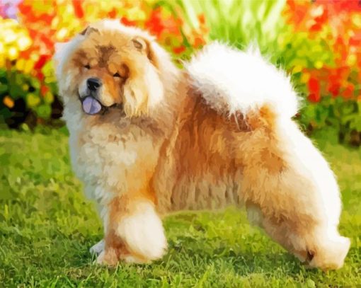 Aesthetic Chow Chow Diamond Paintings