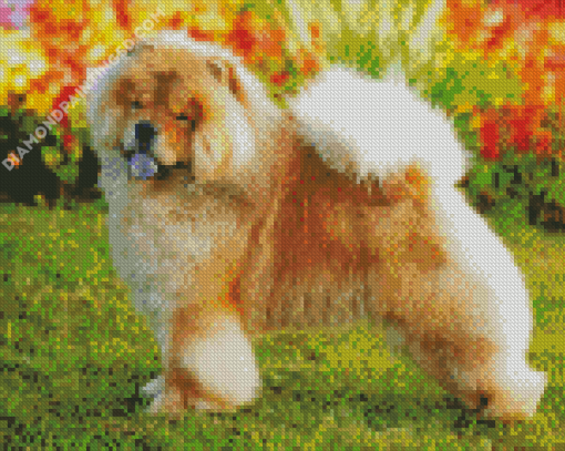 Aesthetic Chow Chow Diamond Paintings