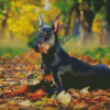 Aesthetic Doberman Pinscher Diamond Paintings