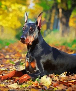 Aesthetic Doberman Pinscher Diamond Paintings