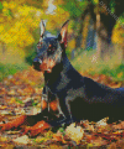 Aesthetic Doberman Pinscher Diamond Paintings