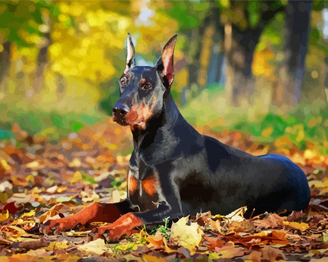 Aesthetic Doberman Pinscher Diamond Paintings