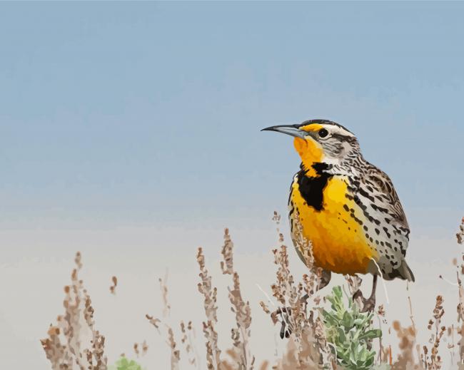 Beautiful Western Meadowlark Diamond Paintings