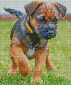 Border Terrier Puppy Dog Diamond Paintings