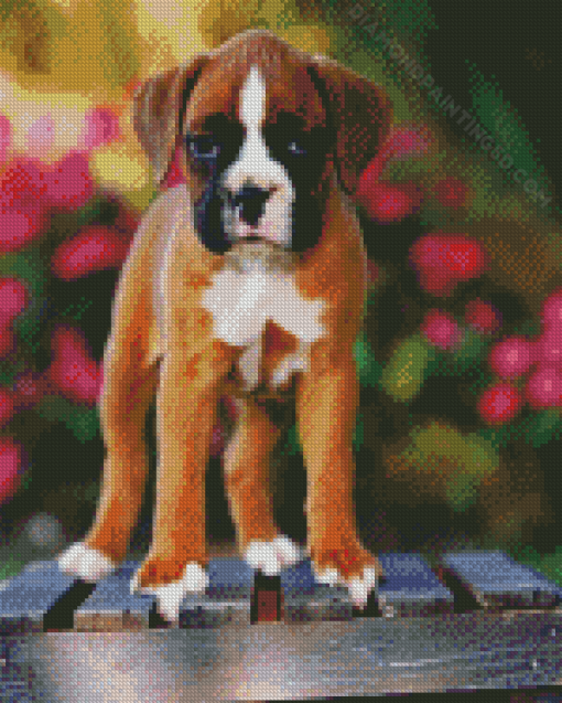 Boxer Puppy Diamond Paintings