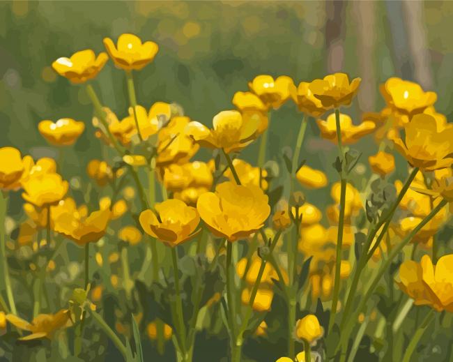 Buttercup Field Diamond Paintings