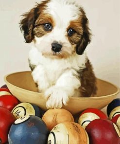 Cavachon Dog In Bowl Diamond Paintings