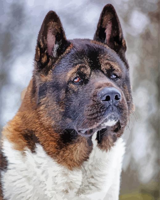 Close Up American Akita Diamond Paintings