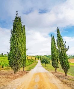 Countryside Italy Road Diamond Paintings