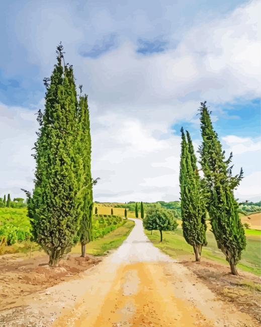 Countryside Italy Road Diamond Paintings