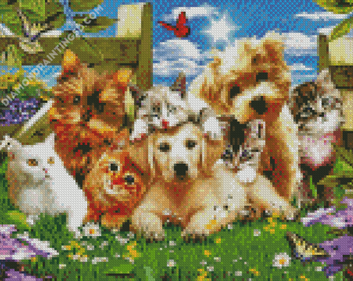 Cute Kittens And Puppies Diamond Paintings