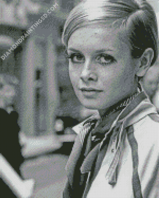 Dame Lesley Lawson Twiggy Diamond Paintings