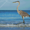 Grey Heron On Beach Diamond Paintings