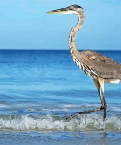 Grey Heron On Beach Diamond Paintings