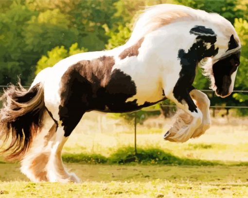 Gypsy Vanner Diamond Paintings