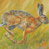 Hare Running Diamond Paintings