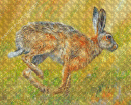 Hare Running Diamond Paintings