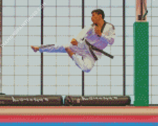 Karate Man Diamond Paintings