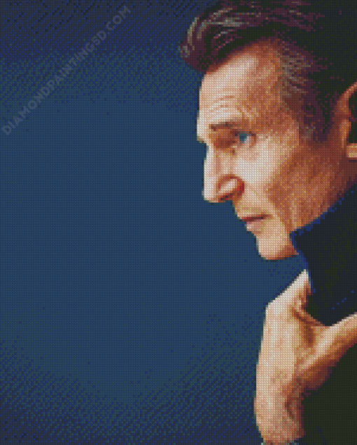 Liam Neeson Side Profile Diamond Paintings