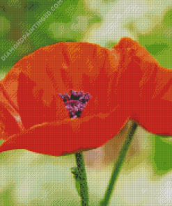 Oriental Poppy Diamond Paintings