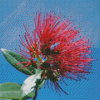 Pohutukawa Flower Diamond Paintings