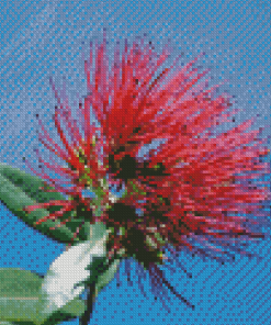 Pohutukawa Flower Diamond Paintings