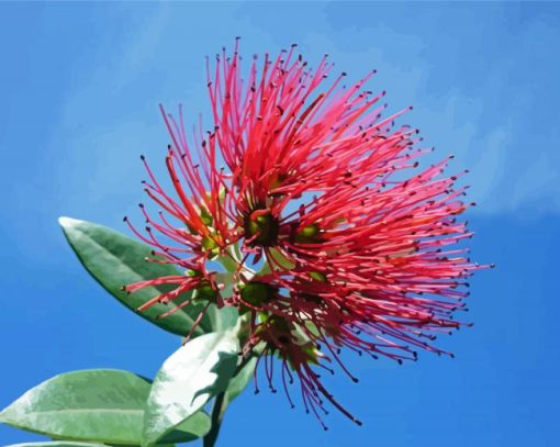 Pohutukawa Flower Diamond Paintings