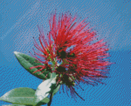 Pohutukawa Flower Diamond Paintings