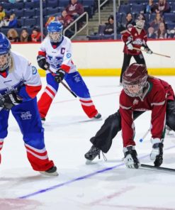 Ringette Sport Players Diamond Paintings