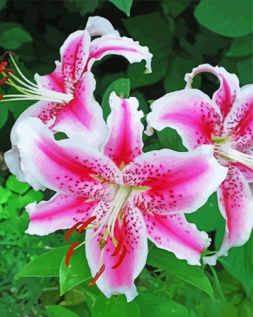 Stargazer Lily Flowers Diamond Paintings