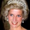 The Princess Diana Diamond Paintings