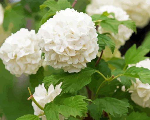 White Hydrangeas Flowers Diamond Paintings