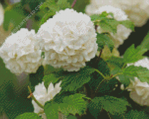 White Hydrangeas Flowers Diamond Paintings