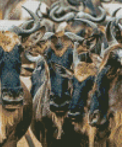 Wildebeest Herd Diamond Paintings