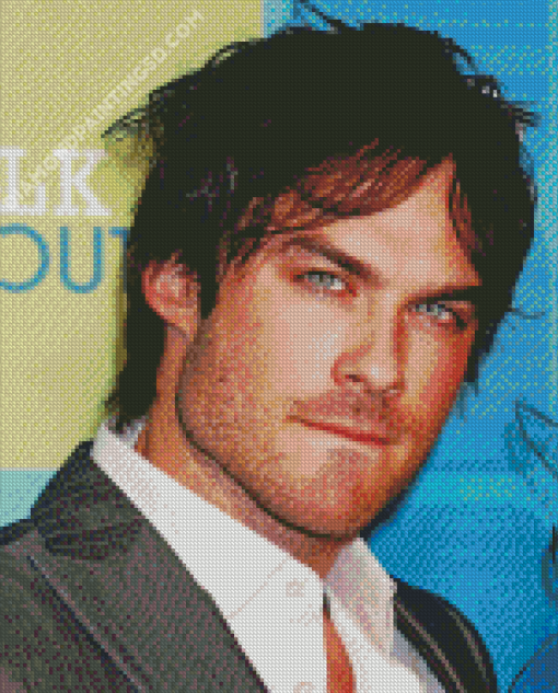 Actor Somerhalder Diamond Paintings