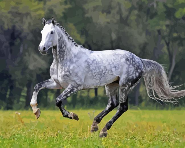 Aesthetic Dapple Horse Diamond Paintings