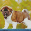 American Akita Puppy Diamond Paintings