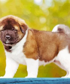 American Akita Puppy Diamond Paintings