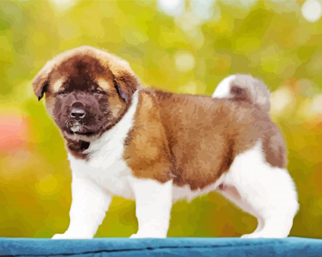 American Akita Puppy Diamond Paintings