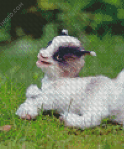 Baby White Goat Diamond Paintings