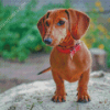 Brown Dachshund Miniature Diamond Paintings