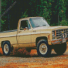 Chevy C10 Truck Diamond Paintings