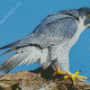 Cool Peregrine Falcon Diamond Paintings