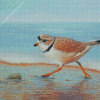 Piping Plover Bird Art Diamond Paintings