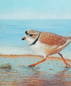 Piping Plover Bird Art Diamond Paintings