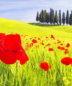 Red And Yellow Flower Fields Italy Diamond Paintings